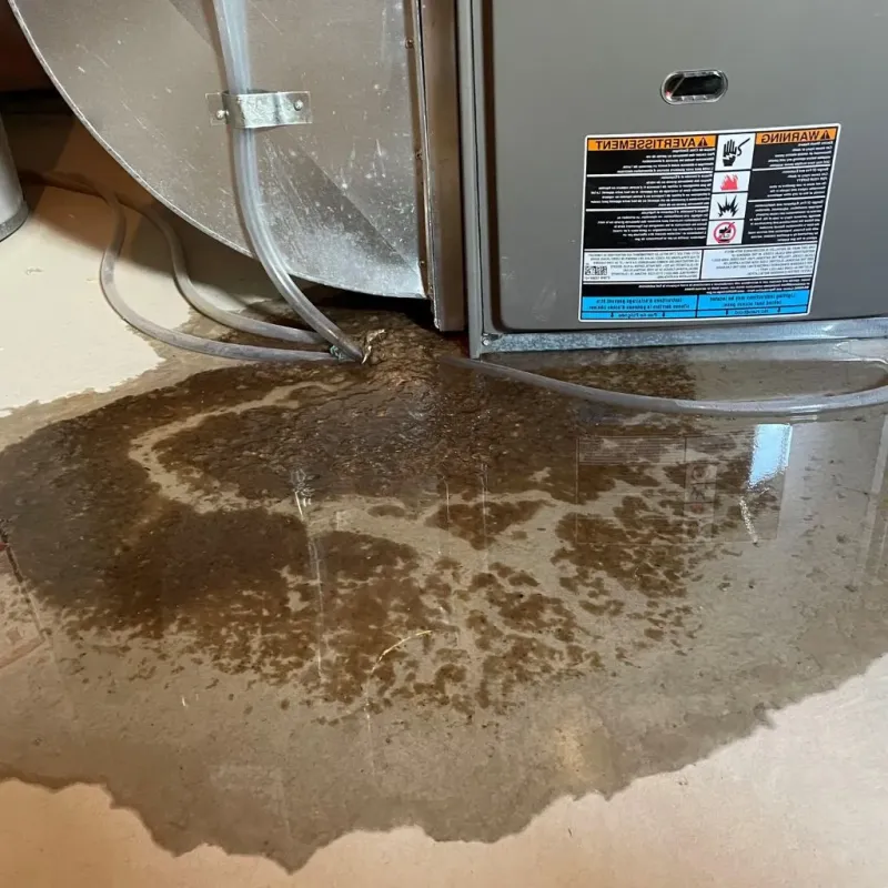 Pipe Burst and Leak Restoration in Berwick, ME